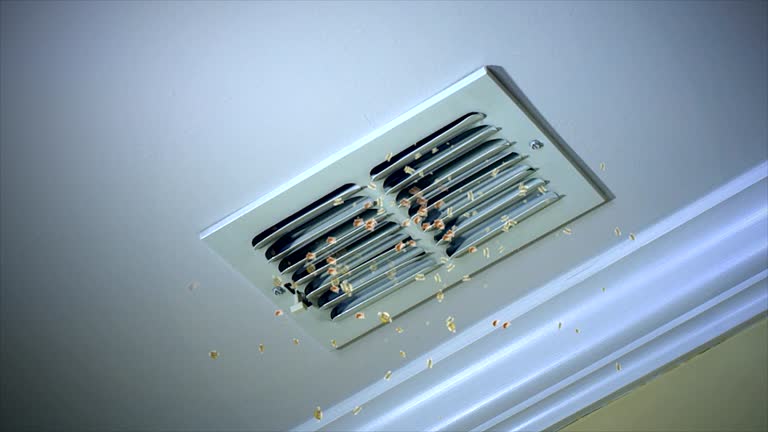 Best Air Duct Cleaning Near Me in Waverly, VA