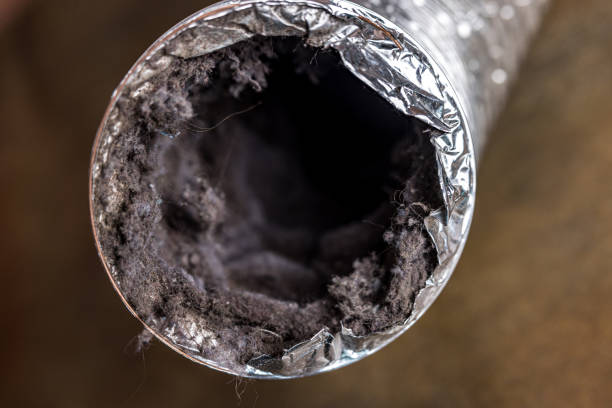 Best HVAC Duct Inspection Services  in Waverly, VA