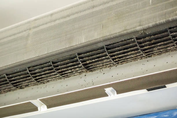 Best Professional Duct Cleaning Services  in Waverly, VA