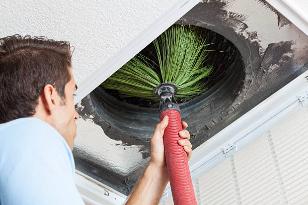 Best Affordable Air Duct Cleaning  in Waverly, VA